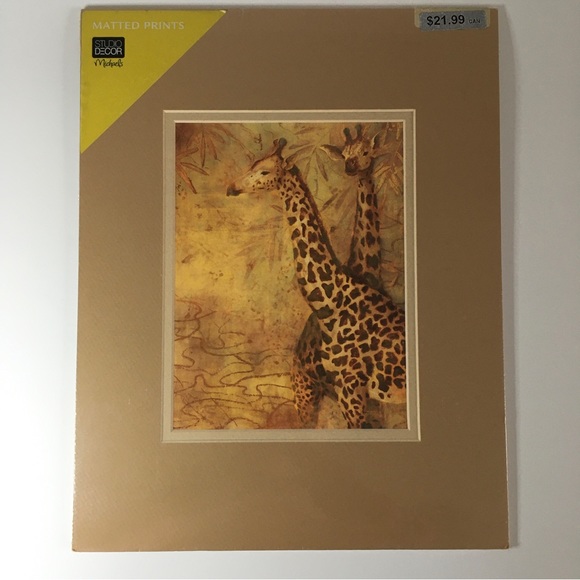 Safari Elephant and giraffe pictures - Picture 1 of 4